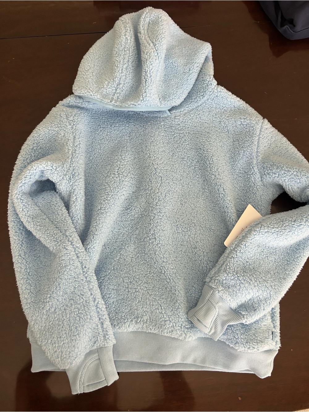 NWT Athleta Girl So Snug Sherpa Hoodie Light Blue Pullover